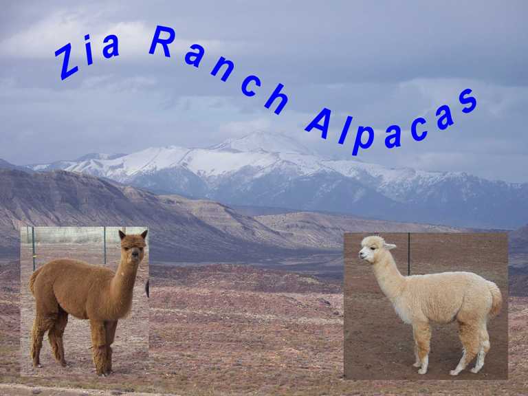 Sierra Blanca Background Compressed.JPG